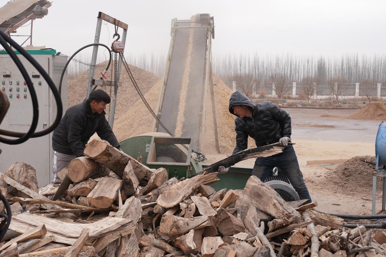 W020231225510677172696