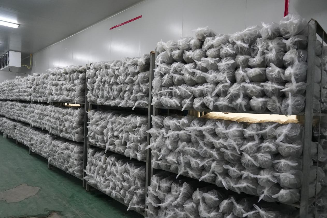 W020231225510680364805