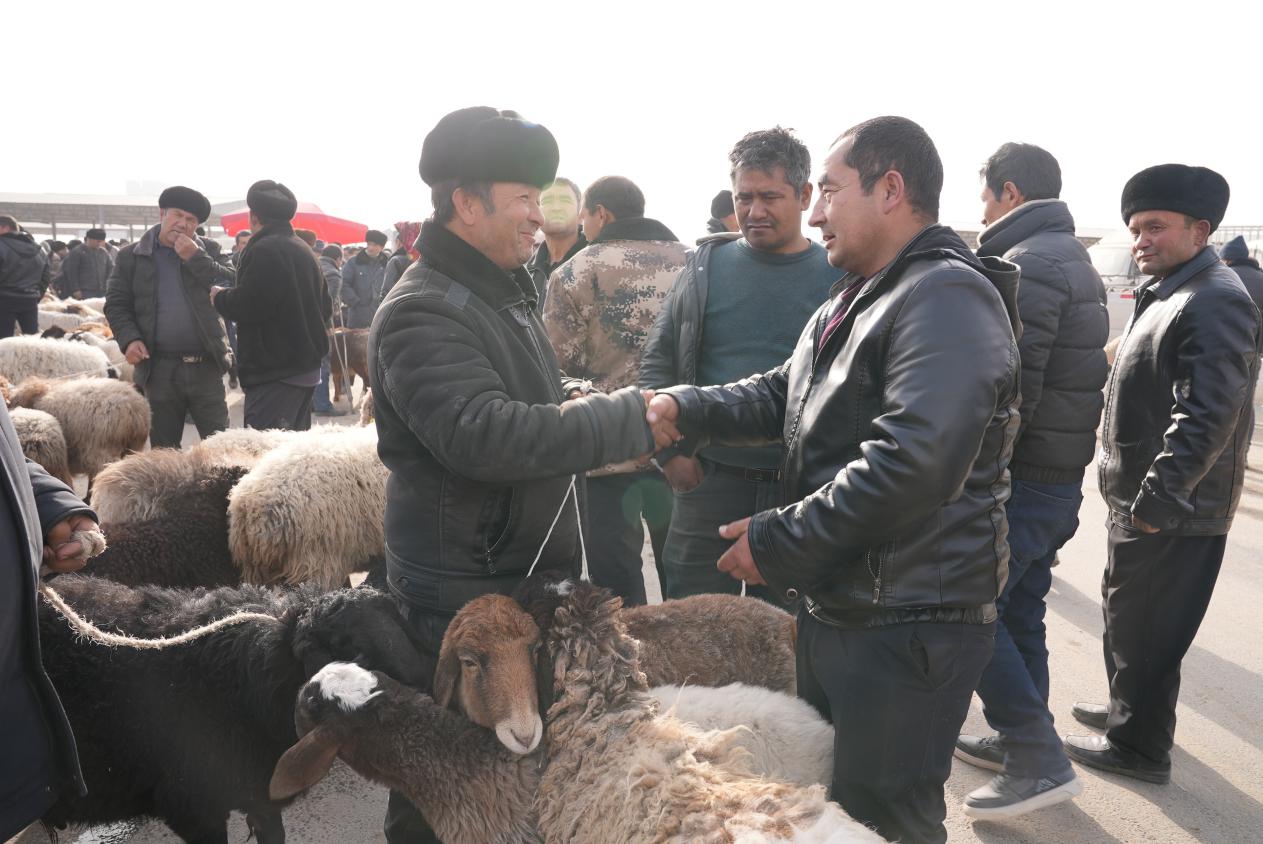 W020231226612785568542