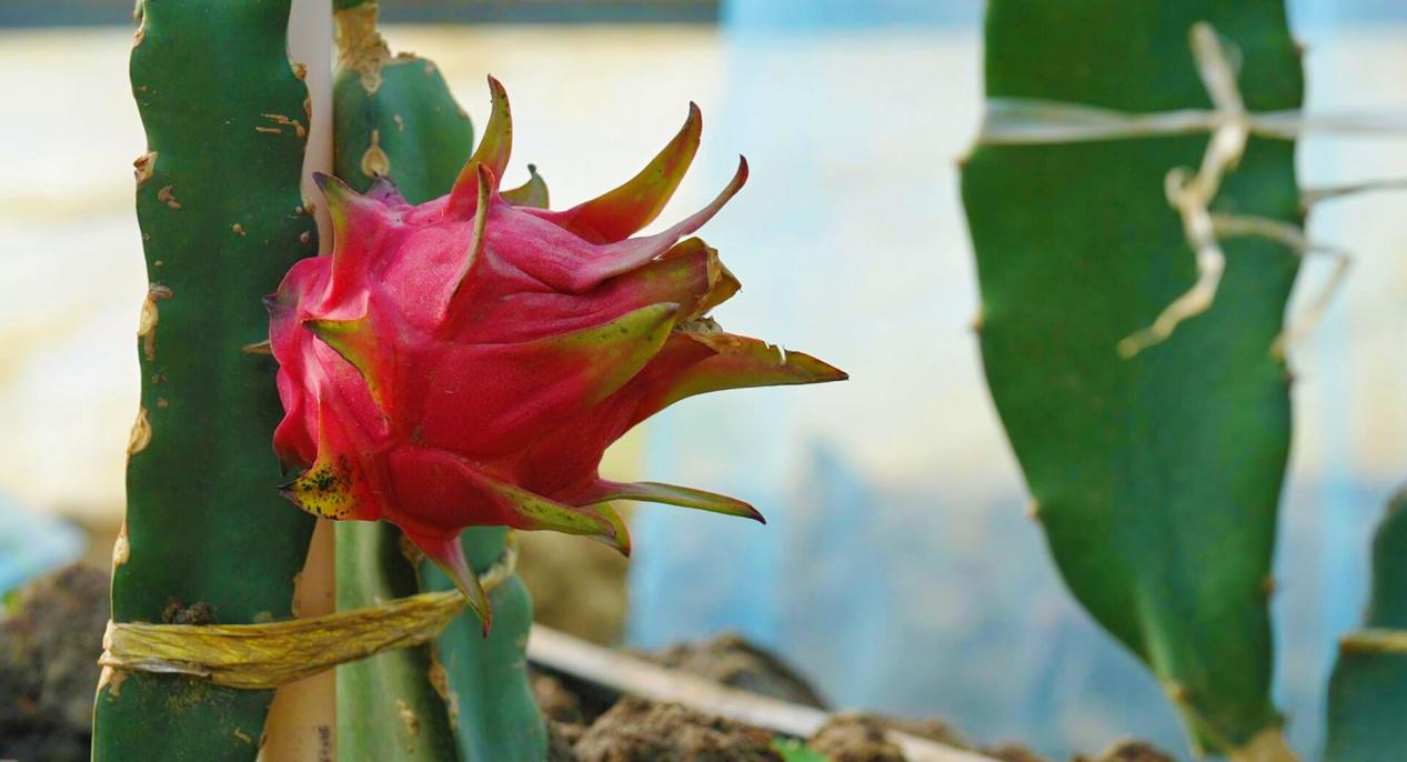 retouch_2023120411044877