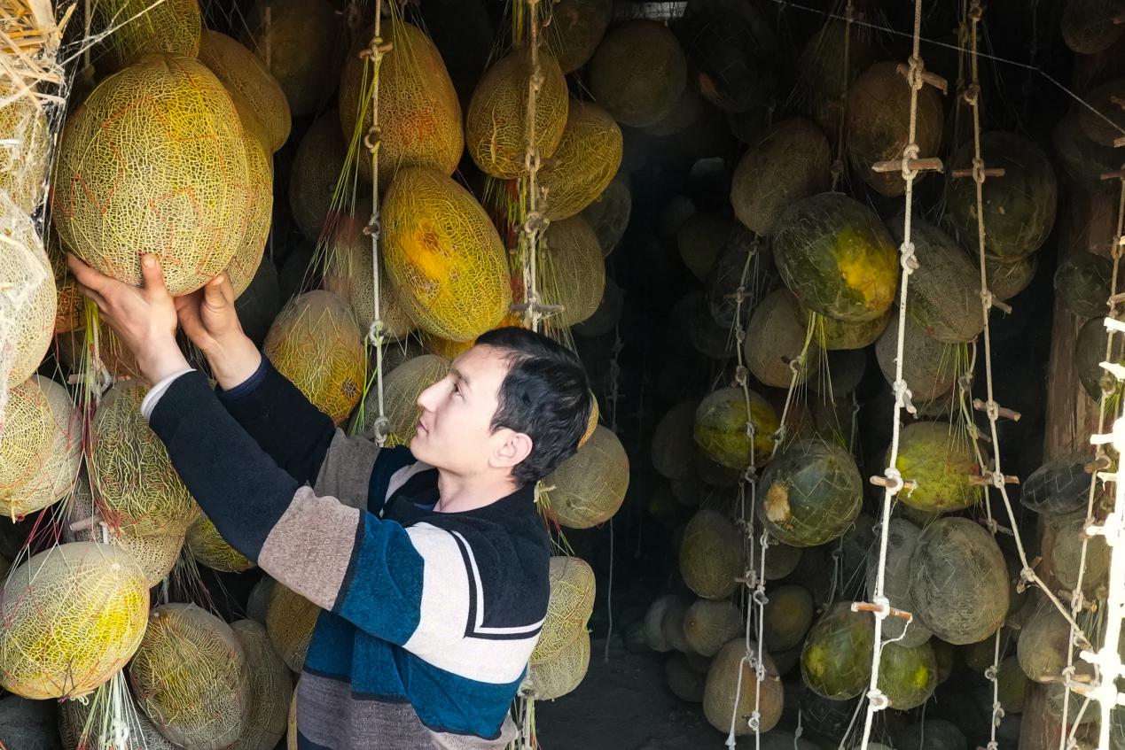 W020231227417924007840