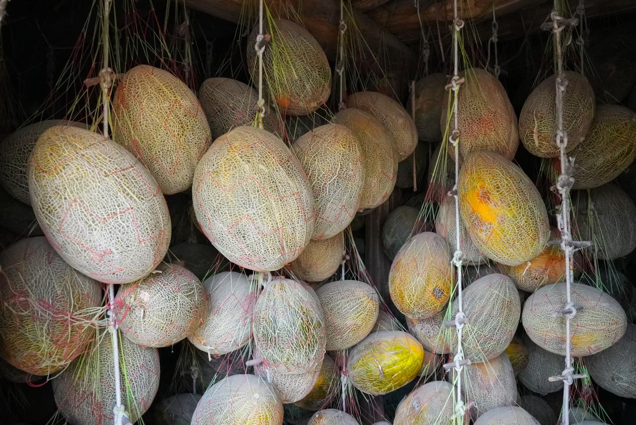 W020231227417924324009