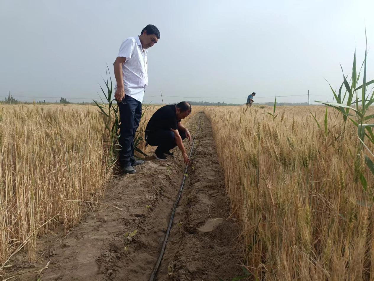 W020240103422877169779