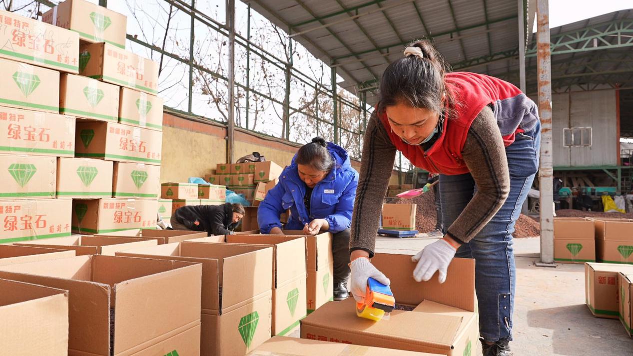 村民正在打包葡萄干