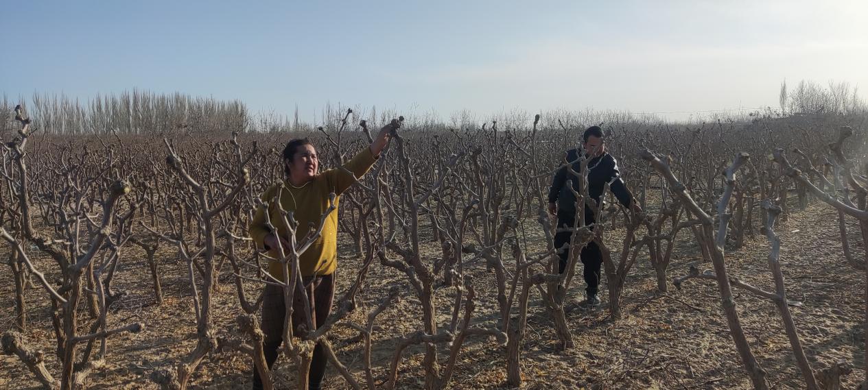 W020240107626081674150