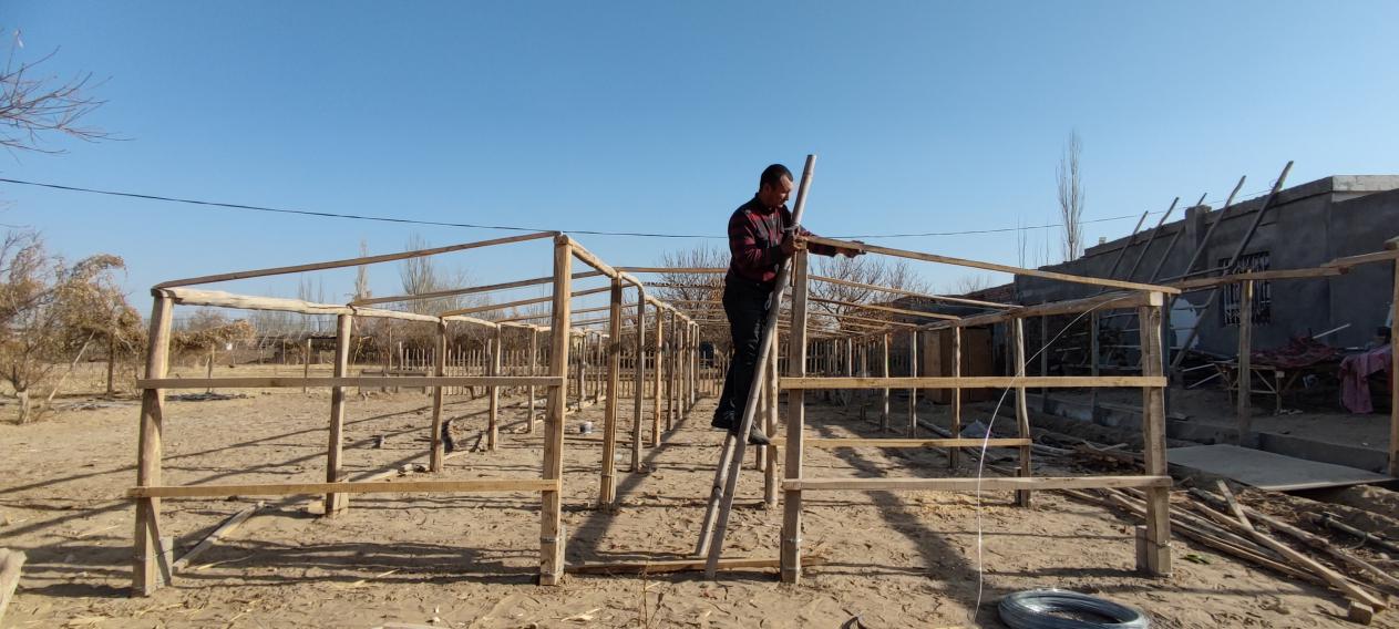 W020240107626083259737