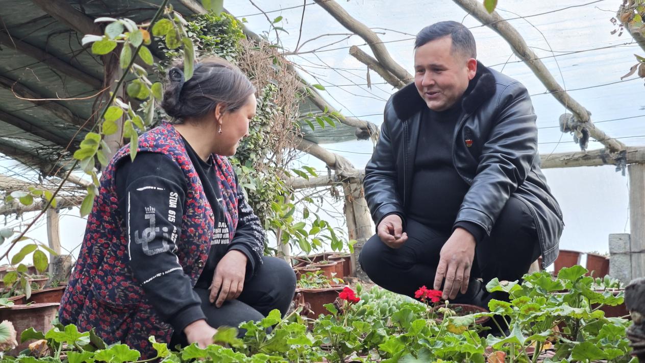 阿卜迪麦麦提·奥布力来到大棚中了解群众花卉种植情况