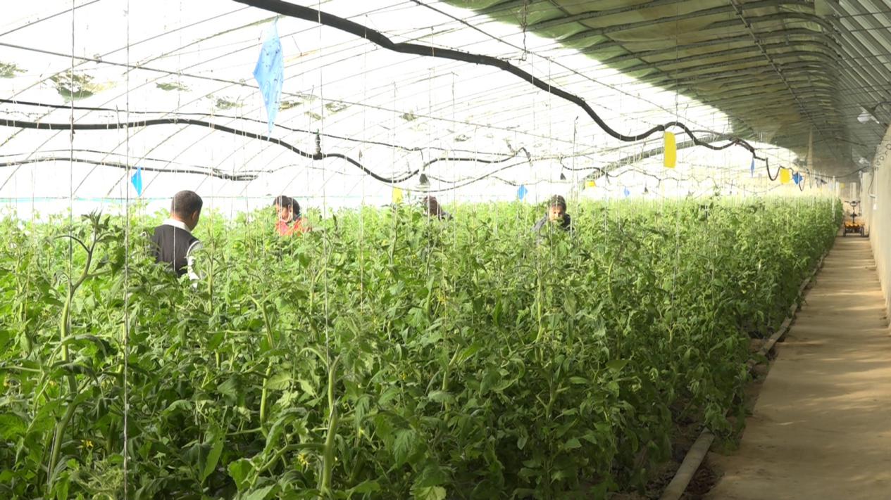 W020240109447401999011