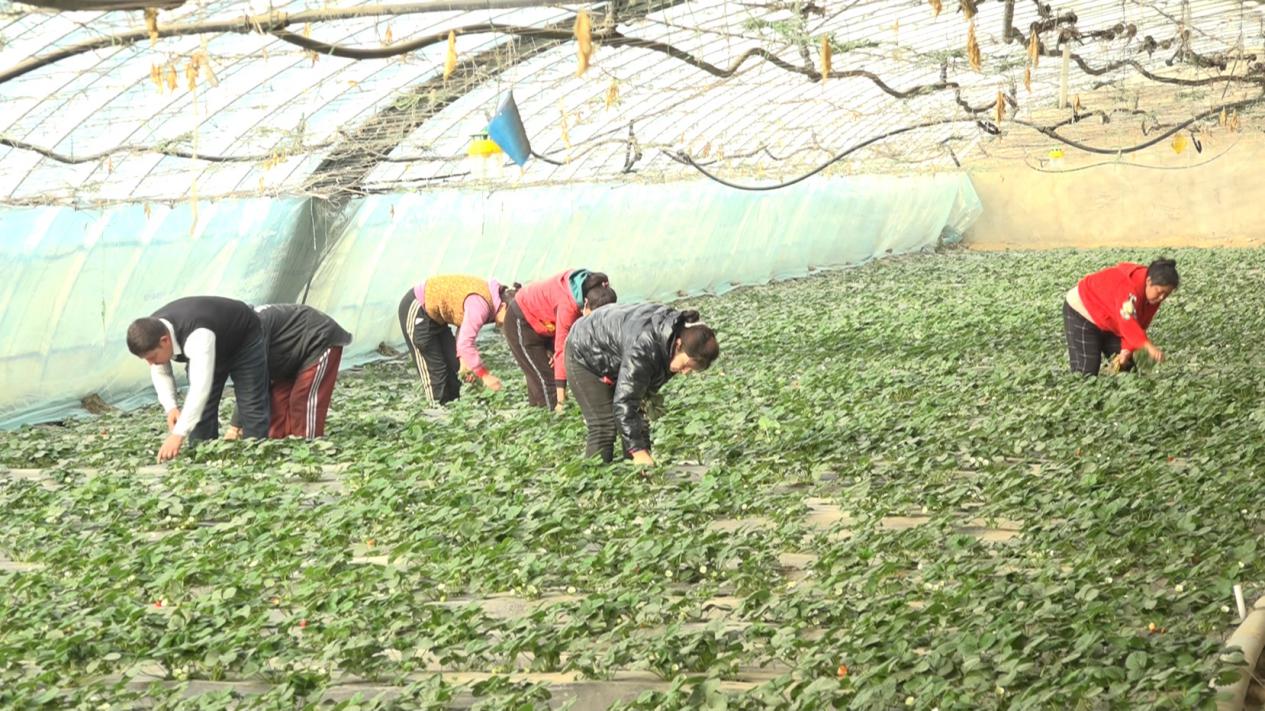 W020240109447402182231