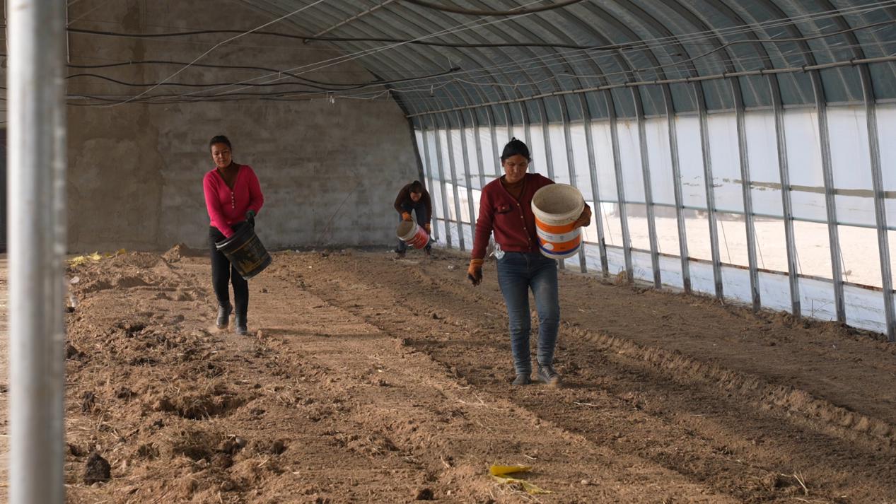 工人们正在给新平整的土地施肥