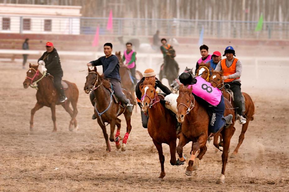 选手们骑着骏马奋力争抢羊羔