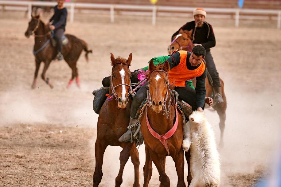 选手们骑着骏马奋力争抢羊羔 (2)