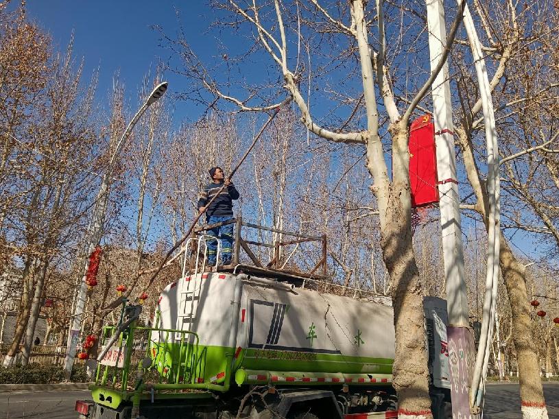 工人们修剪树枝