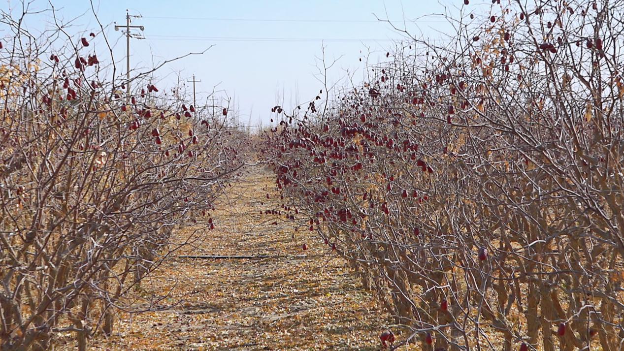 W020240116577309119969