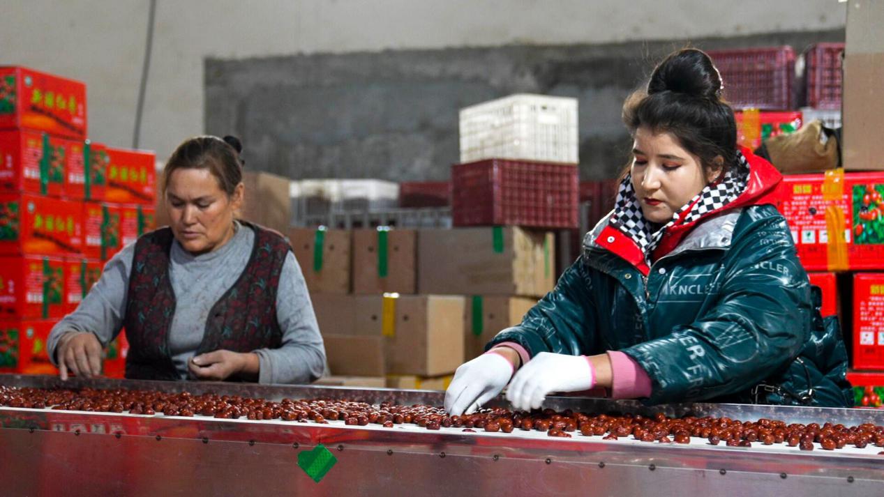 W020240116577310773232