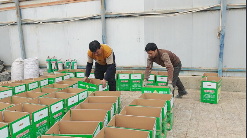 W020240116577312650624