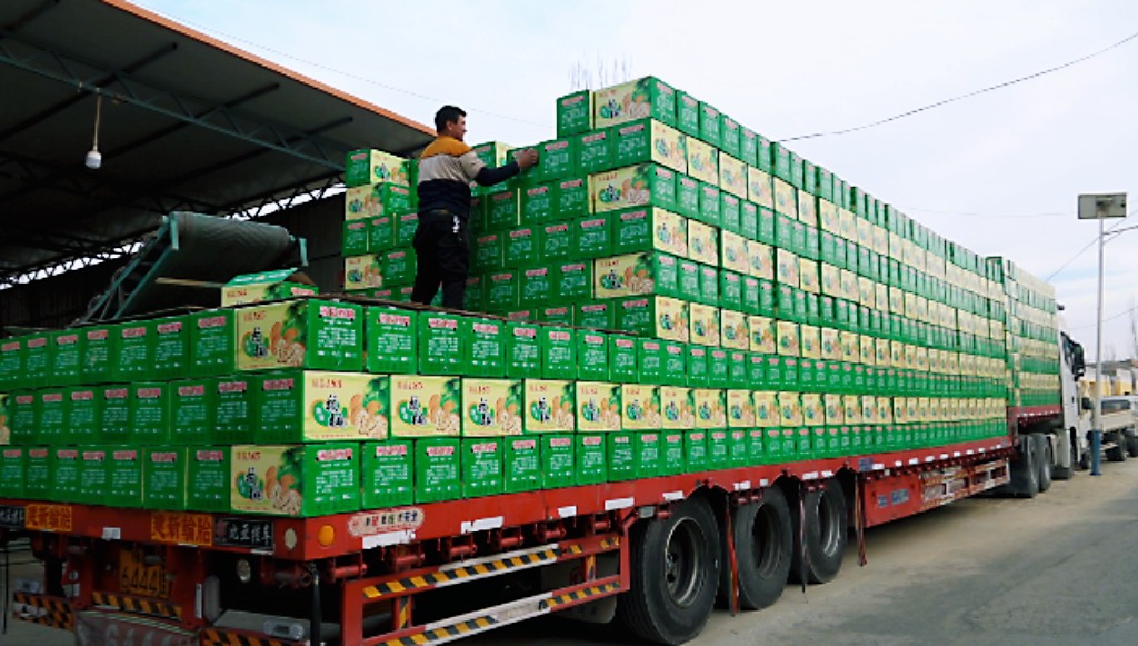 W020240116577313341935