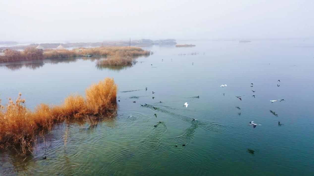 拉里昆国家湿地公园
