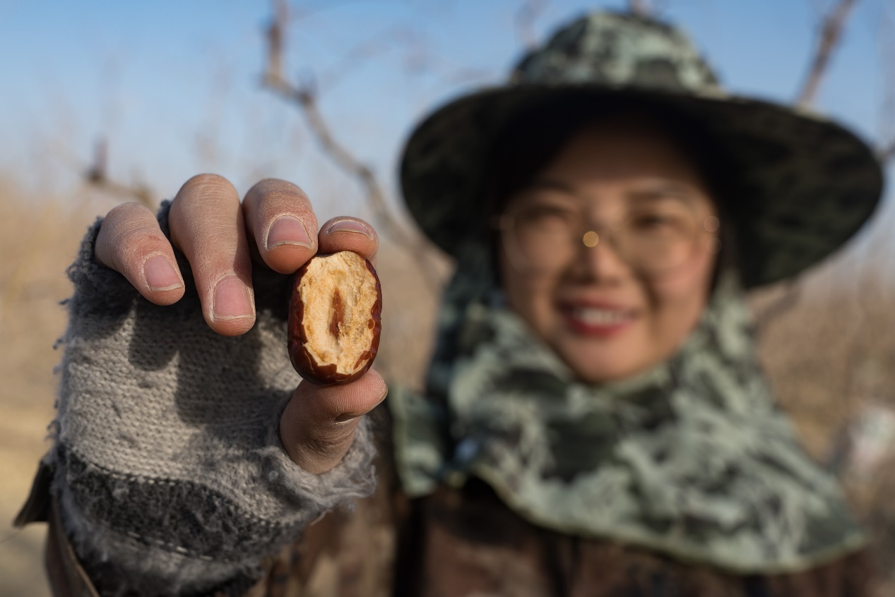 赵闫推荐红枣产品 本人提供