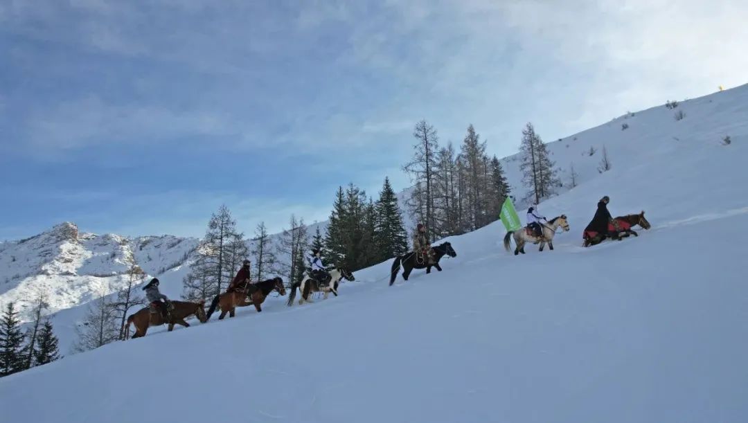 文旅+马业&rdquo;模式 带动乡村旅游发展