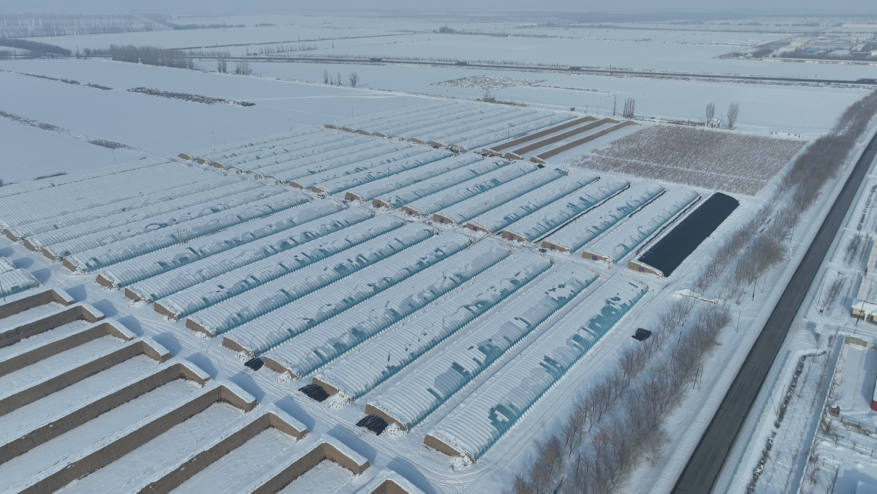 cc4ac2411e6cc96a6342ab1e1d1ca0b - 副本 (3)