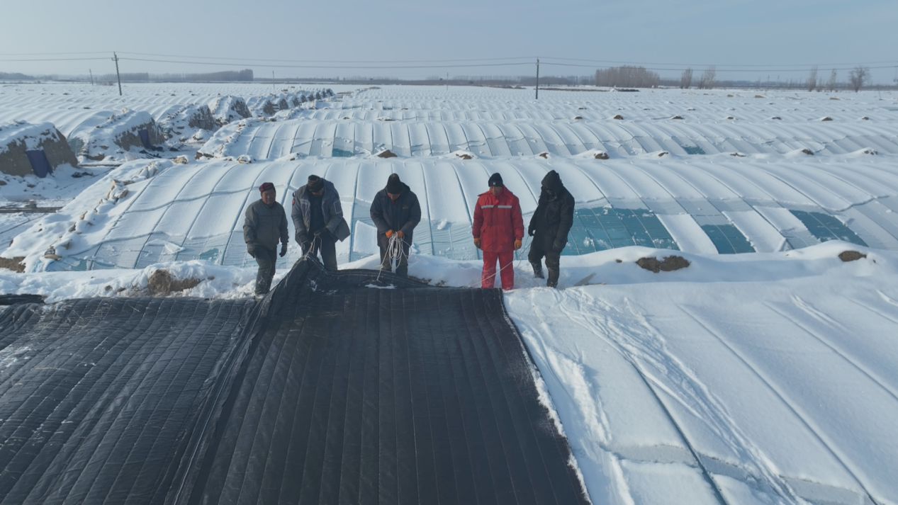 2a777baa12fedfbe6ad178a9147d5e8 - 副本 (2)