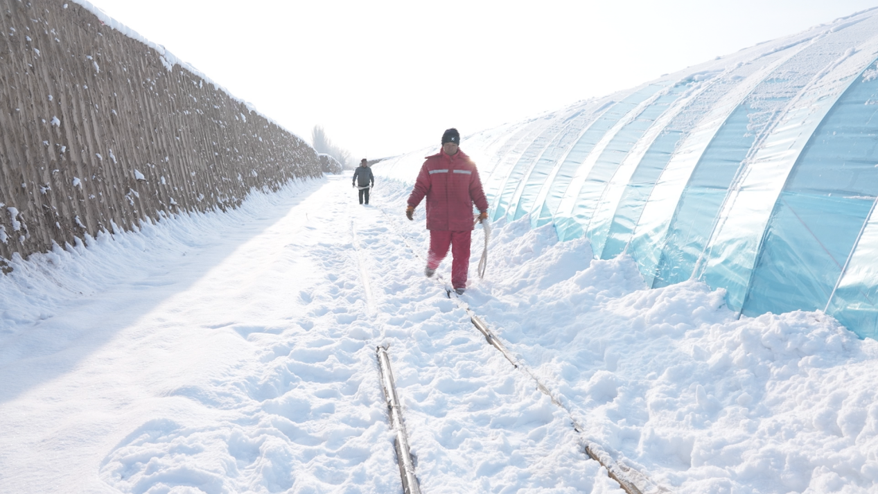 d9b6b8bcbc0766a0d750877139e7d71