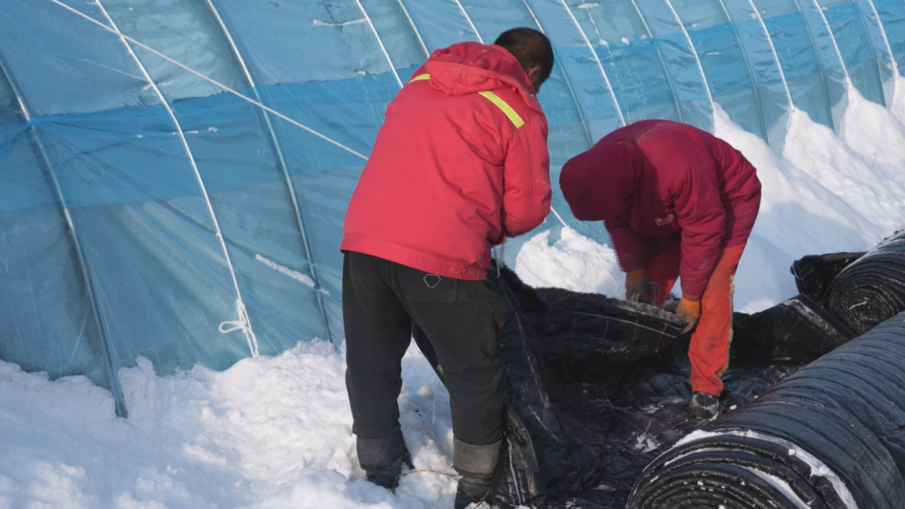 0db356142787a402fb463bd1341f22b