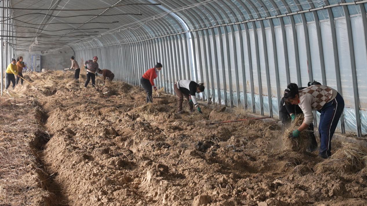 工人们平整土地 为第一茬种植做准备