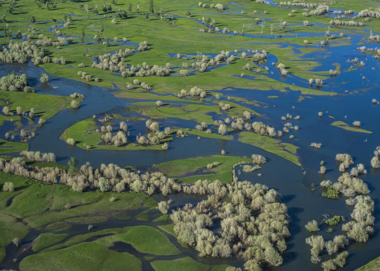 盯紧自然景观,打造“旅游+生态”牌01