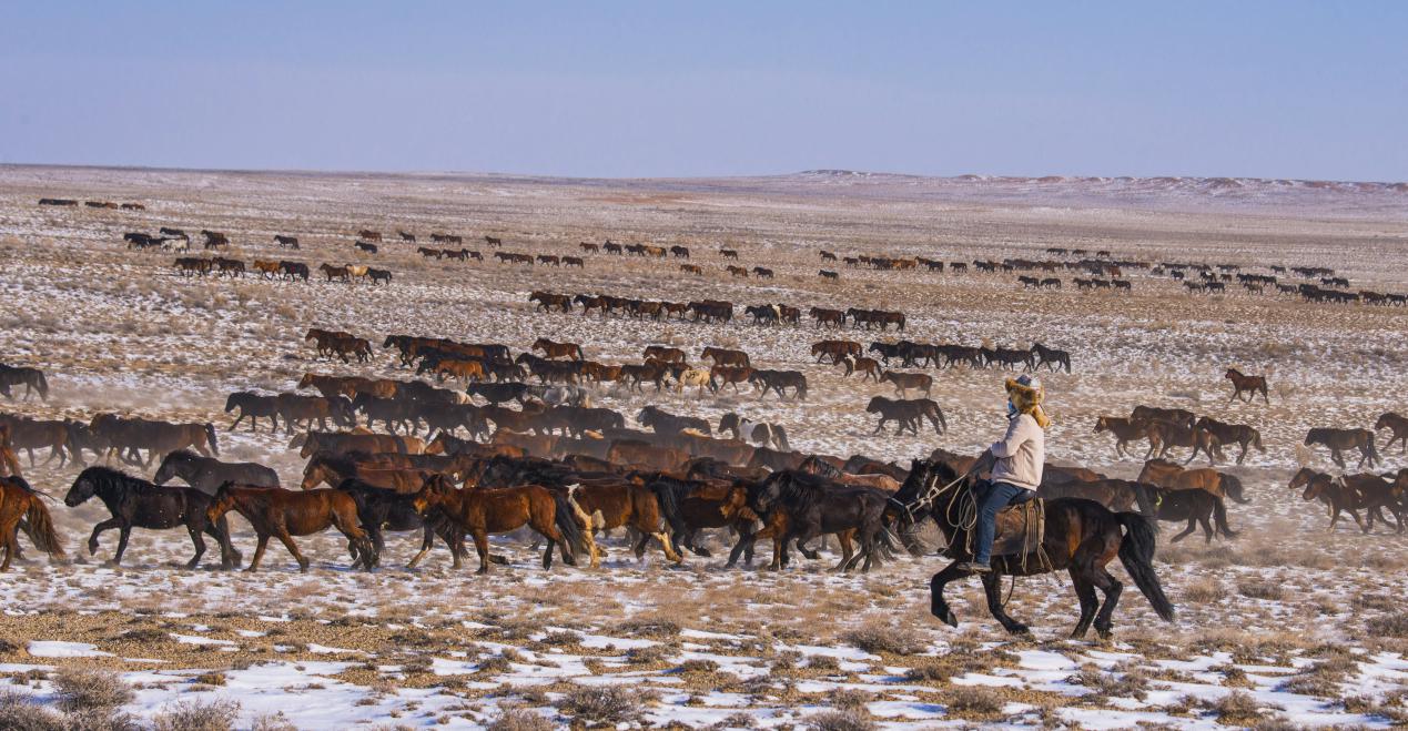 万马之乡&mdash;杜热冬季草原