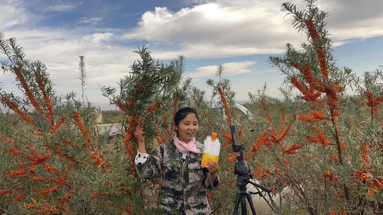 付秀芳－－以胡杨精神将小沙棘做成&ldquo;大文章(361991)-20240209112650