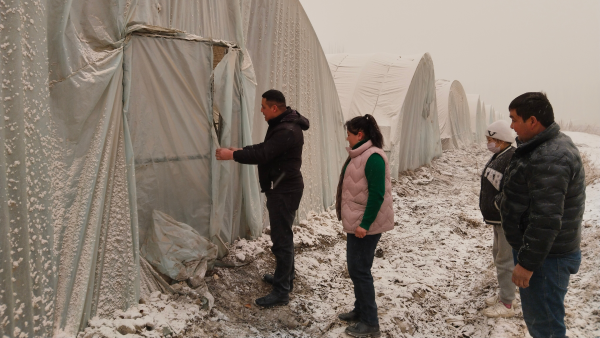 W020240218469154905948_600