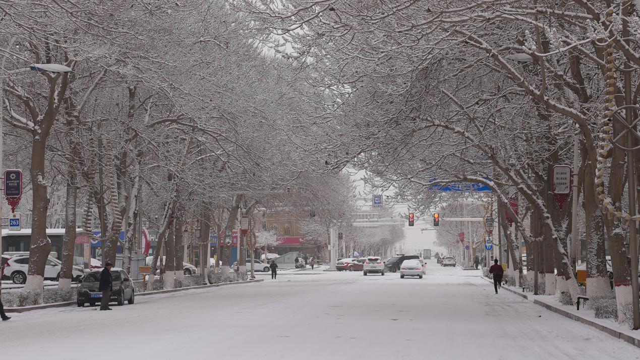 县城被降雪包裹