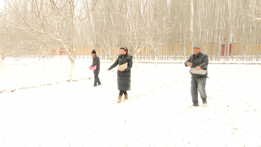 微信图片_20240221121012