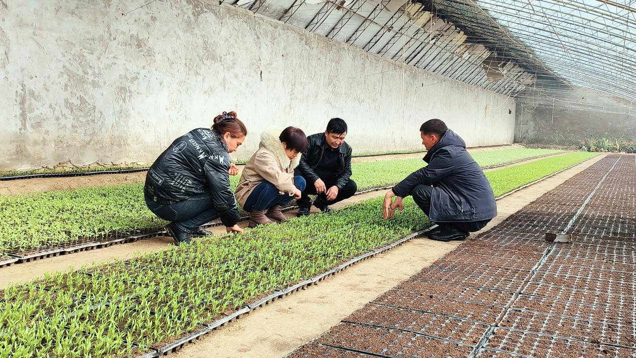 技术人员为种植户传授防冻措施