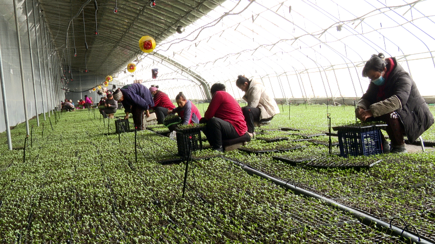 微信图片_20240226173809