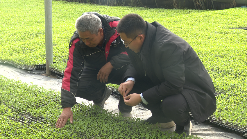 微信图片_20240226174041