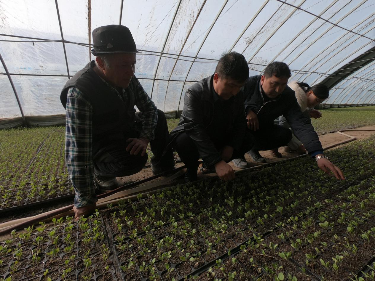 墨玉县农业推广中心的技术人员为农民进行技术指导