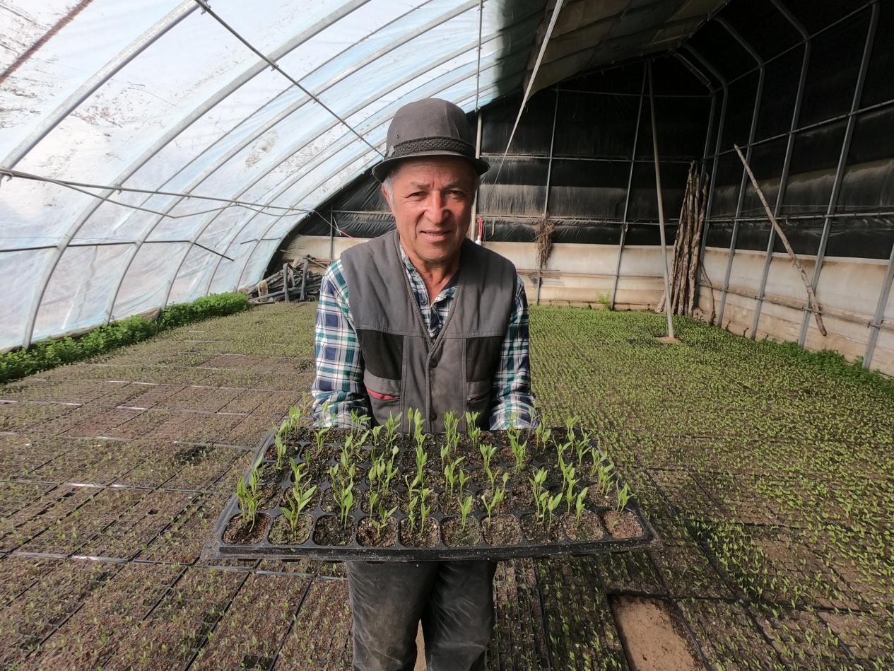 艾合买提&middot;加帕尔对今年的丰收充满信心