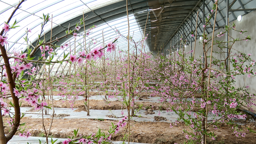 微信图片_20240301161920