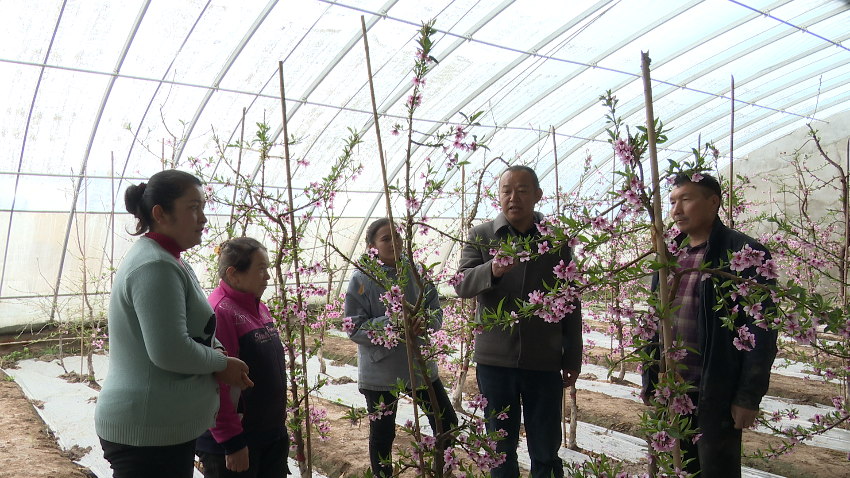 微信图片_20240301161924