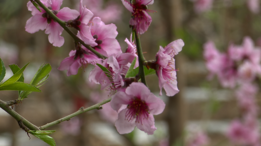 微信图片_20240301161954