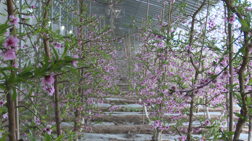 微信图片_20240301161901