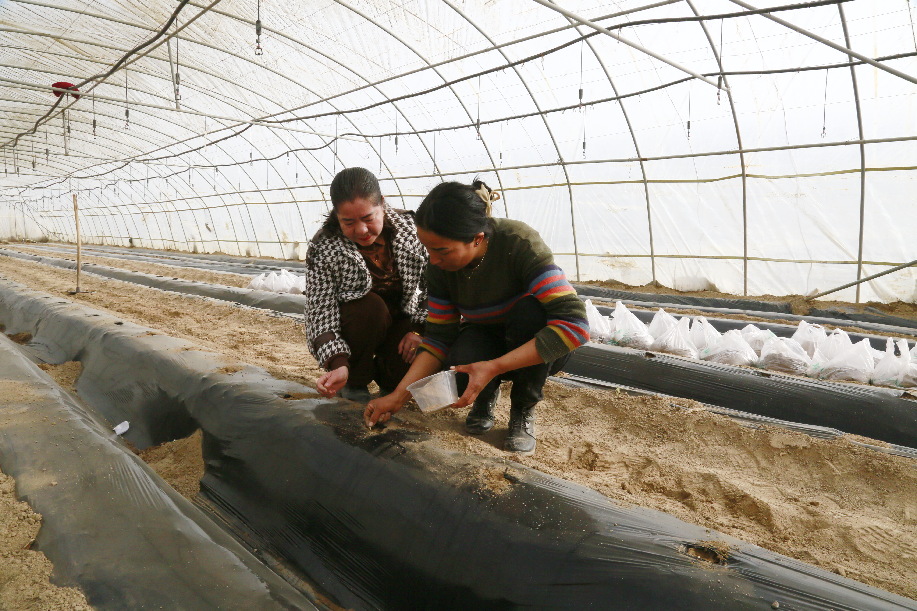 微信图片_20240301114729