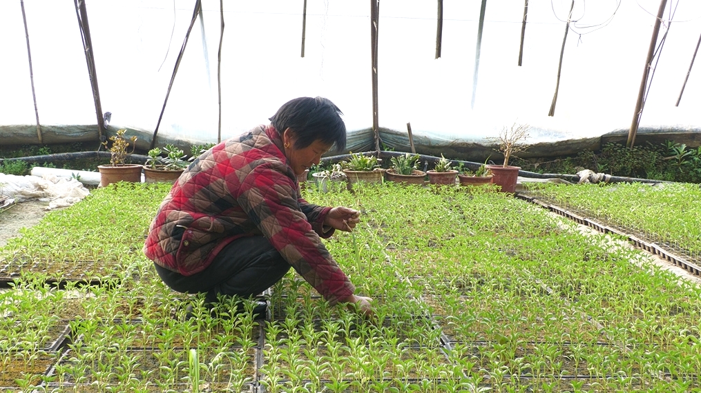 6025f30a96422377d17b55474c3e0cc