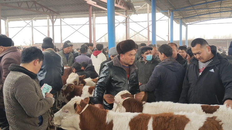 微信图片_20240302173839