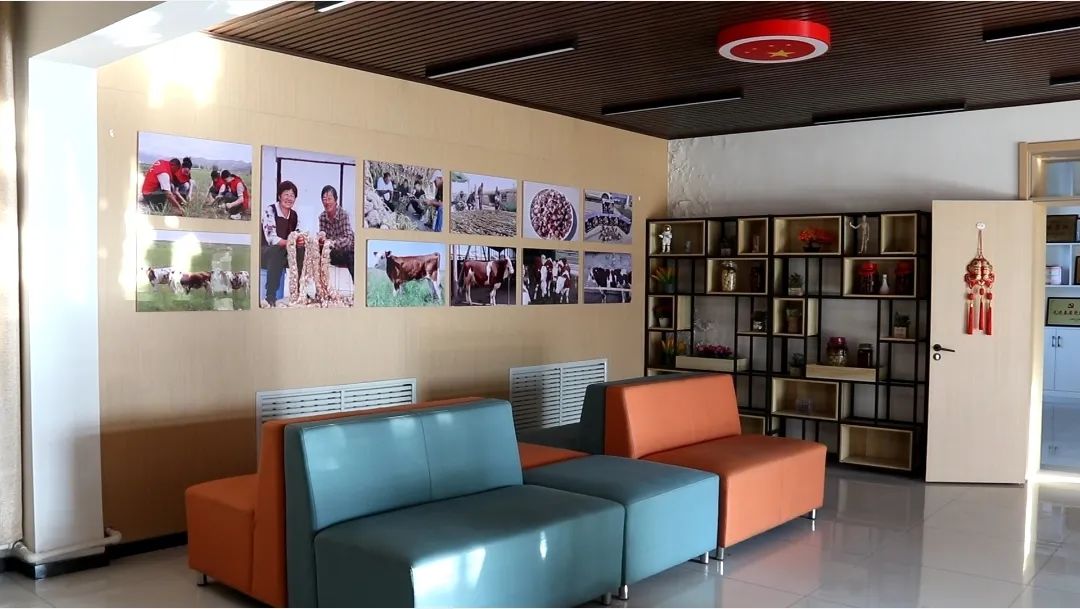 富蕴:多功能活动室让村民幸福感大有提升3