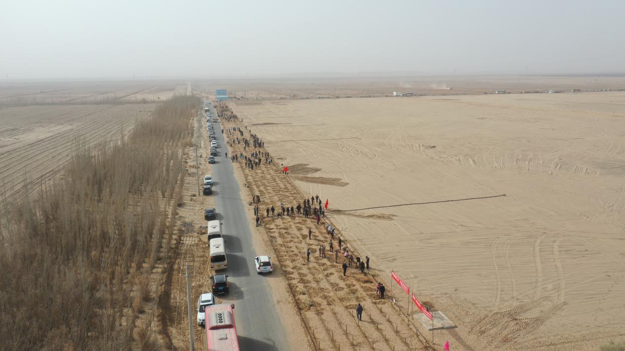 W020240312618515823484