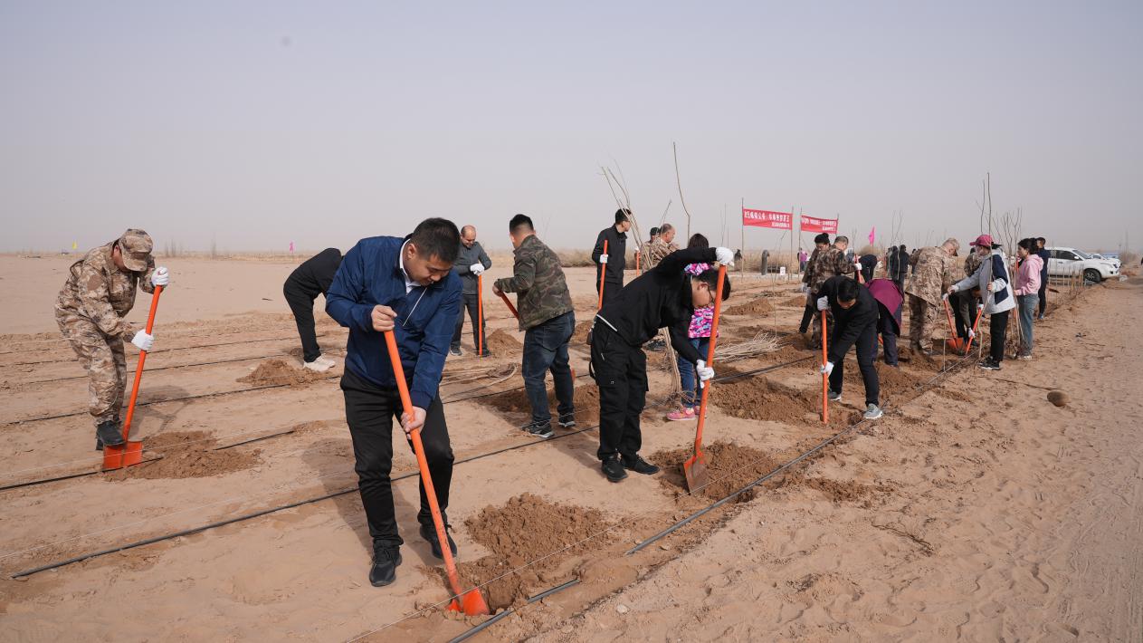 W020240312618518248883